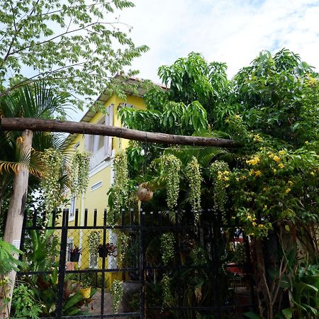 Homestay Yellow Natural House Siem Reap Exteriör bild