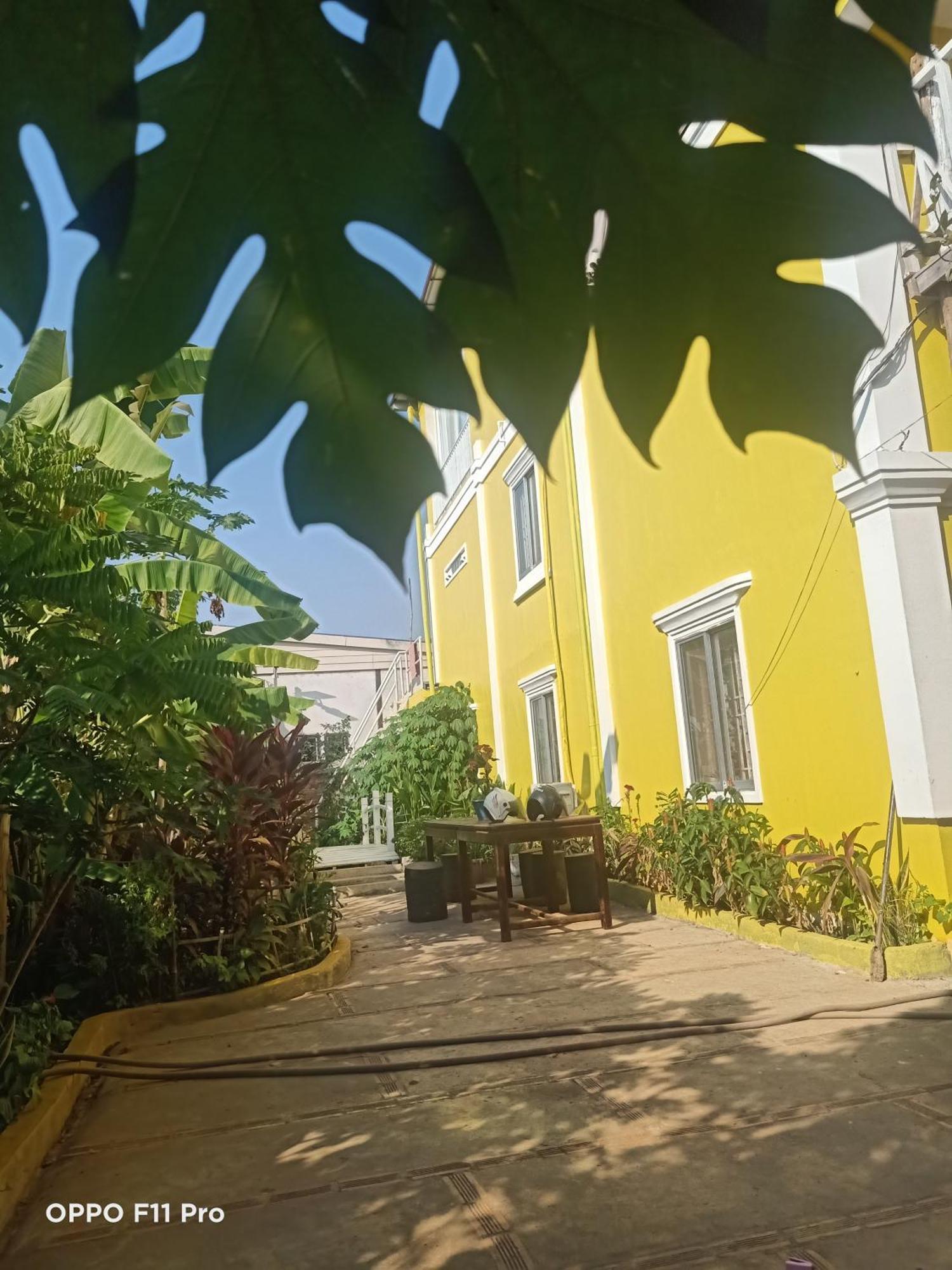 Homestay Yellow Natural House Siem Reap Exteriör bild