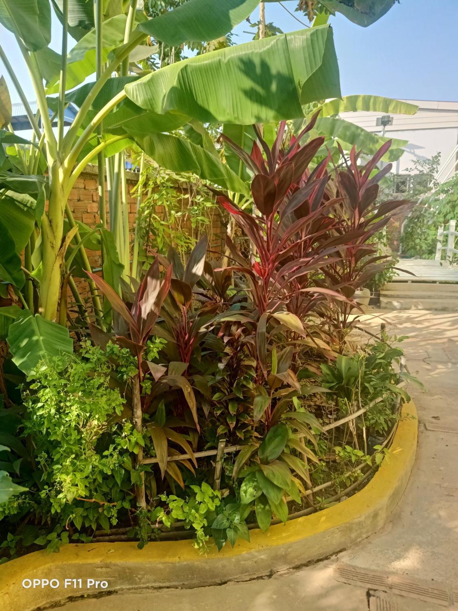 Homestay Yellow Natural House Siem Reap Exteriör bild