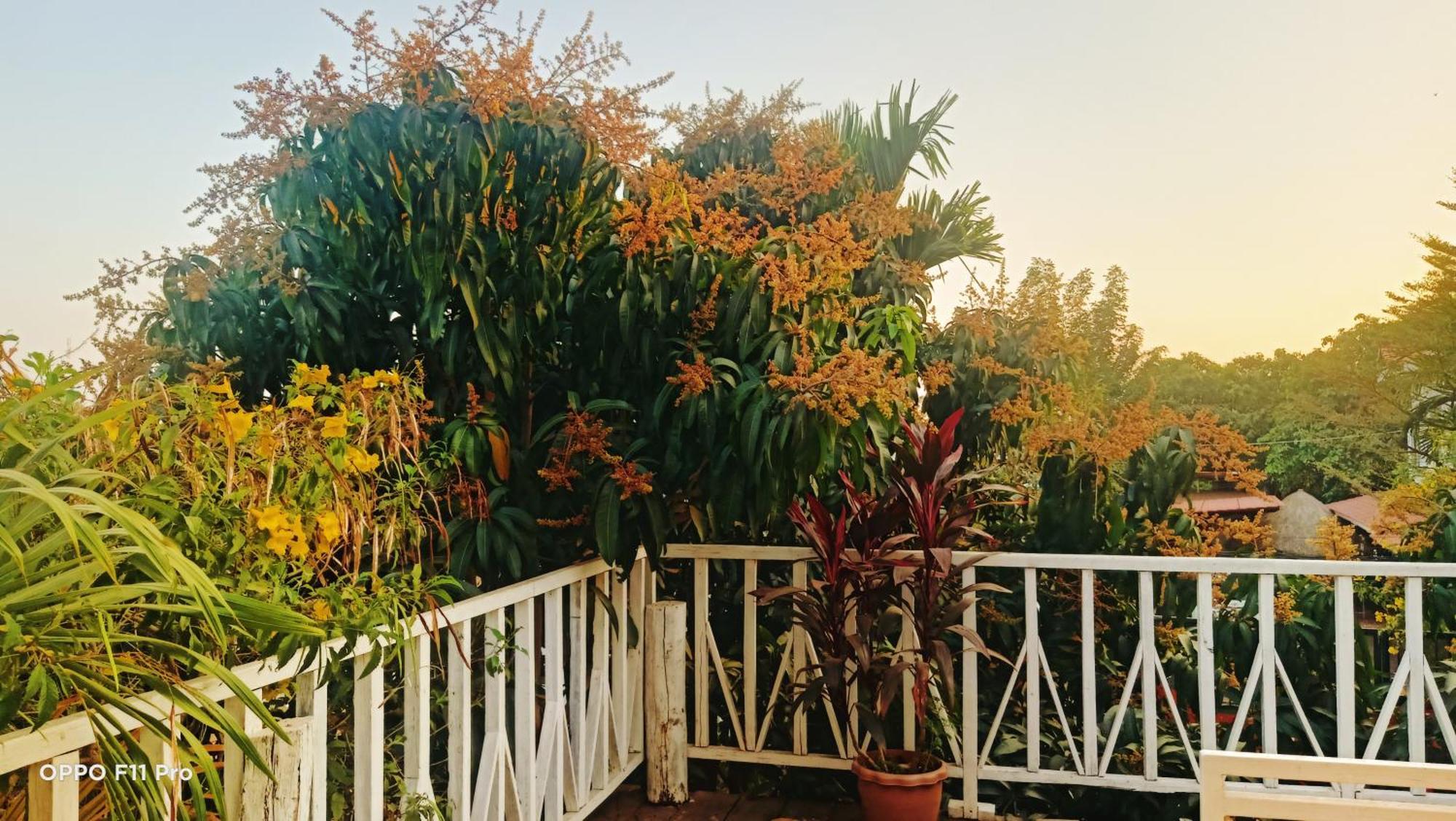 Homestay Yellow Natural House Siem Reap Exteriör bild