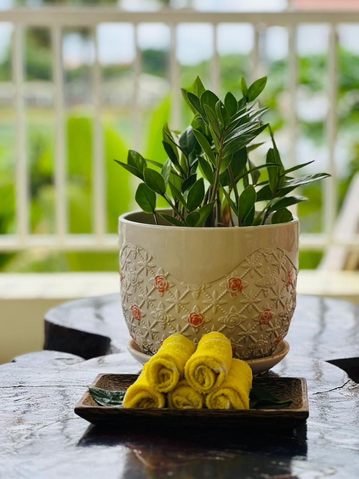 Homestay Yellow Natural House Siem Reap Exteriör bild